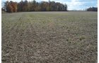 Property photo 16 - 75.3 Acres Offered in 2 Tracts